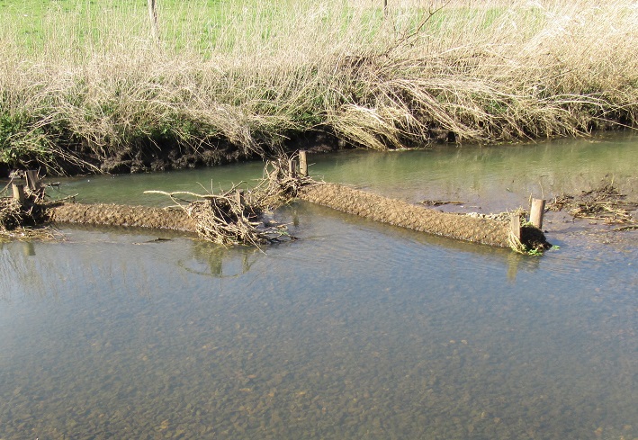 River restoration methods include coir rolls for vegetation